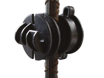 gallery/96418420_226421135475189_5752031077107499008_n