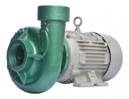 gallery/995955-MLM31221871677_062019-O