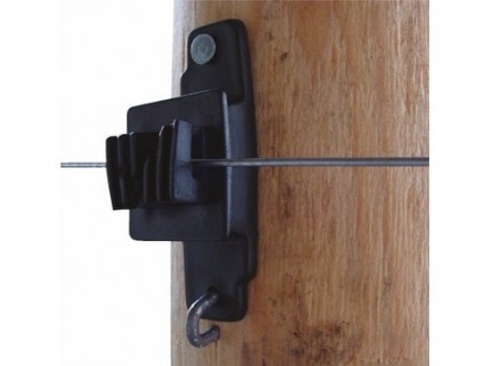 gallery/96112889_237361600818467_4253107355027243008_n